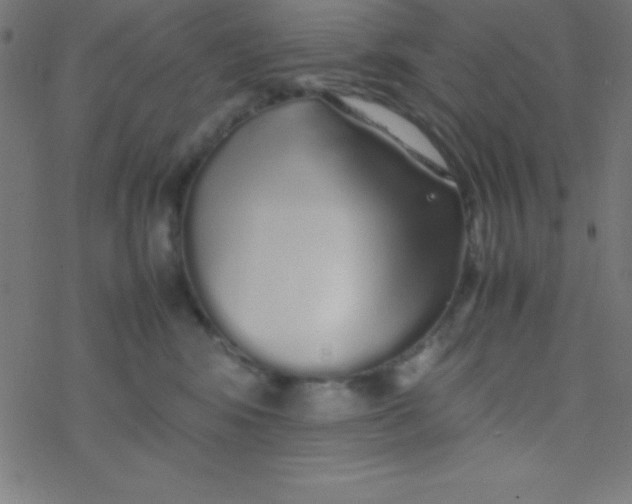 X0000077380424200611101734