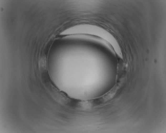 X0000077380425200611101734