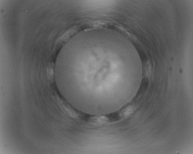 X0000077380427200611101734