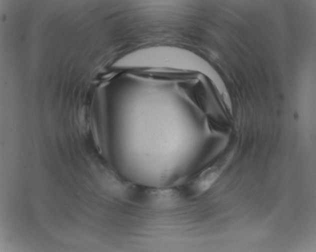 X0000077380428200611101734