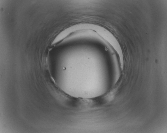 X0000077380429200611101734