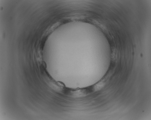 X0000077380430200611101734