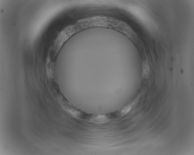 X0000077380431200611101734