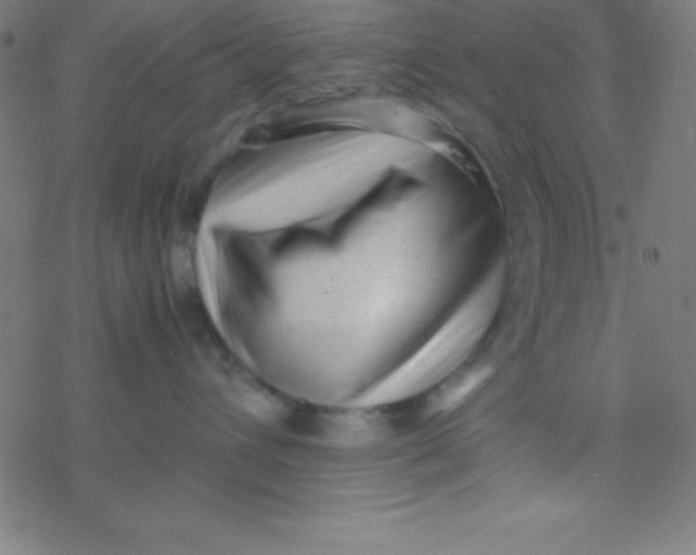 X0000077380432200611101734