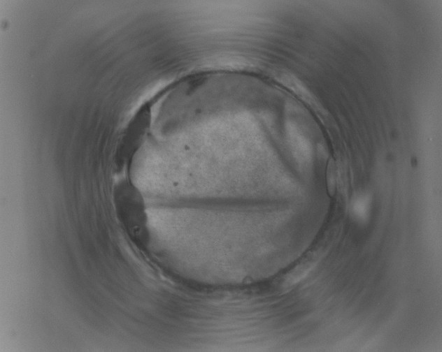 X0000077380434200611101733