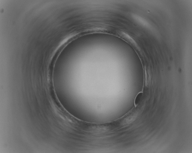 X0000077380435200611101733