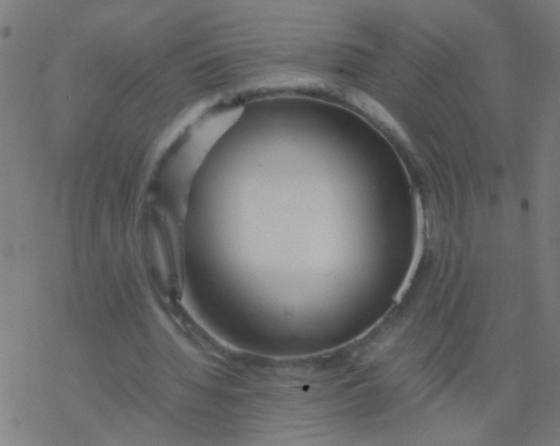 X0000077380436200611101733