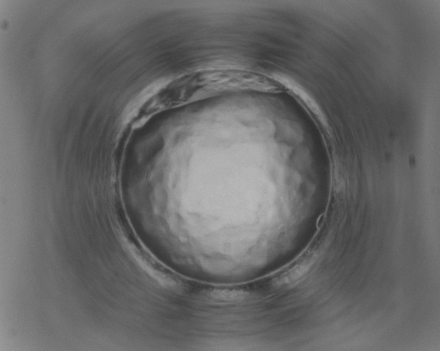 X0000077380437200611101733