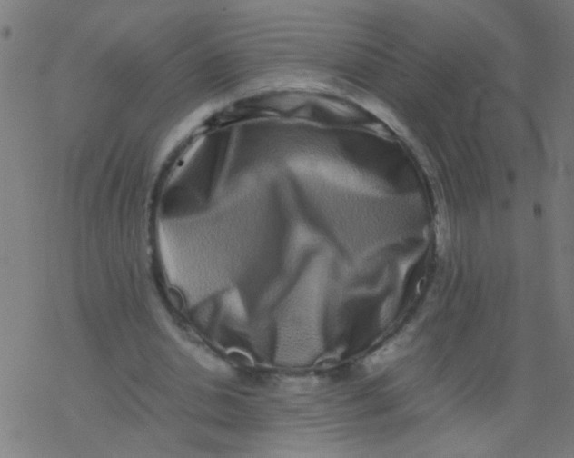 X0000077380438200611101733