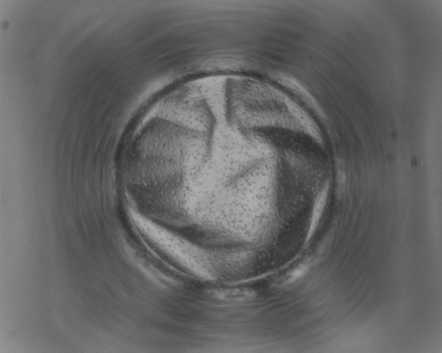 X0000077380439200611101733