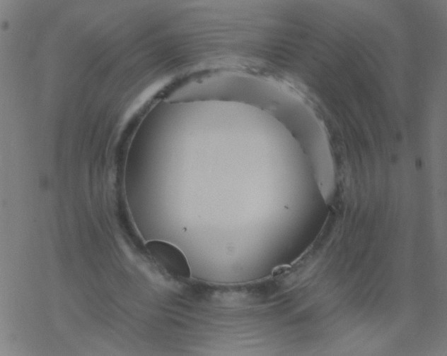 X0000077380440200611101733