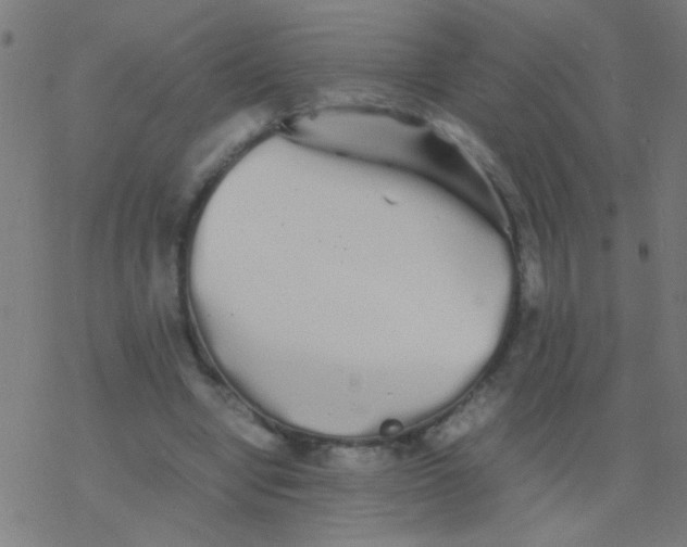 X0000077380442200611101733