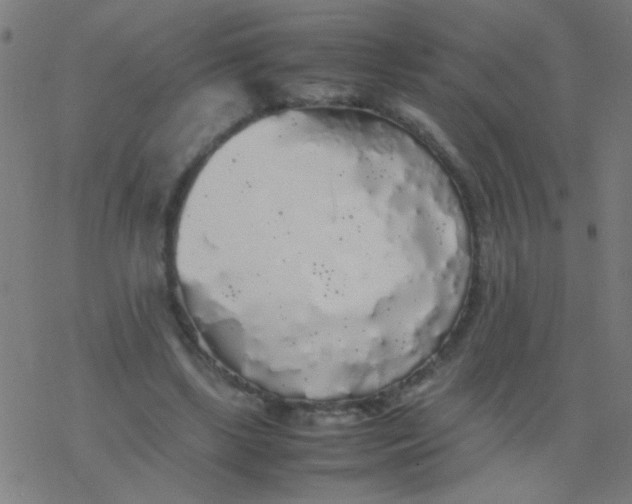 X0000077380443200611101733