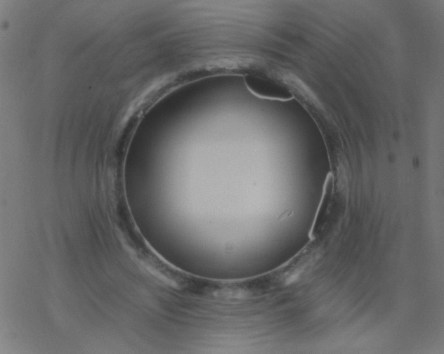 X0000077380444200611101733