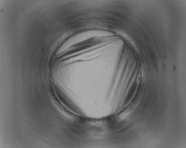 X0000077380445200611101733