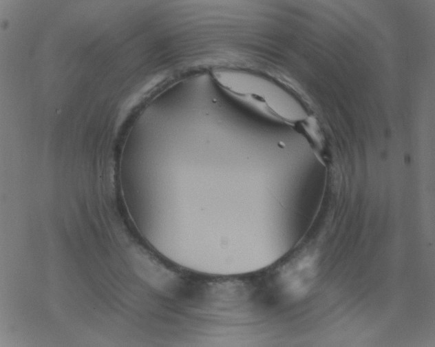 X0000077380446200611101733