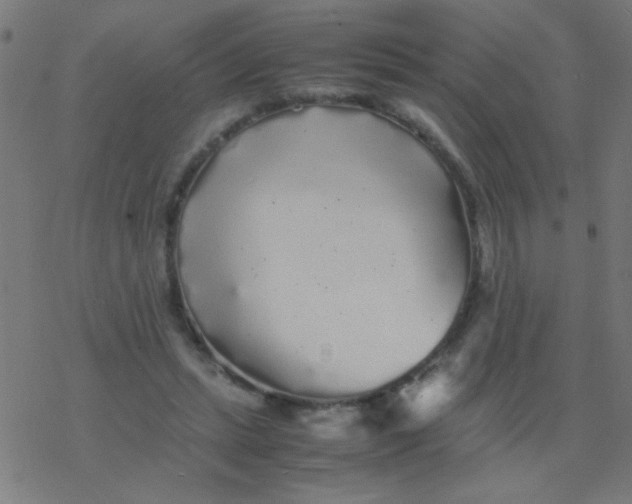 X0000077380447200611101733