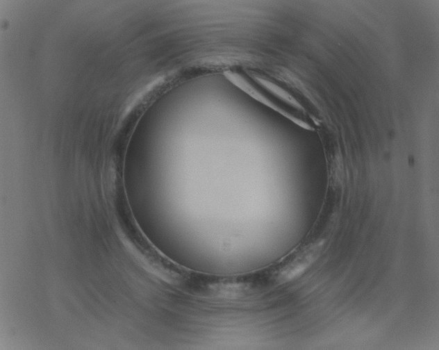 X0000077380448200611101733