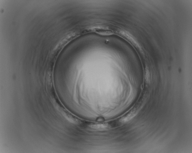 X0000077380449200611101733