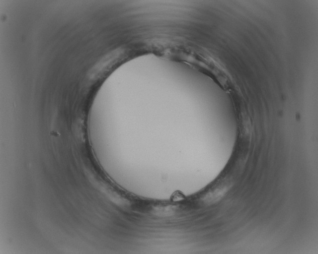 X0000077380450200611101733