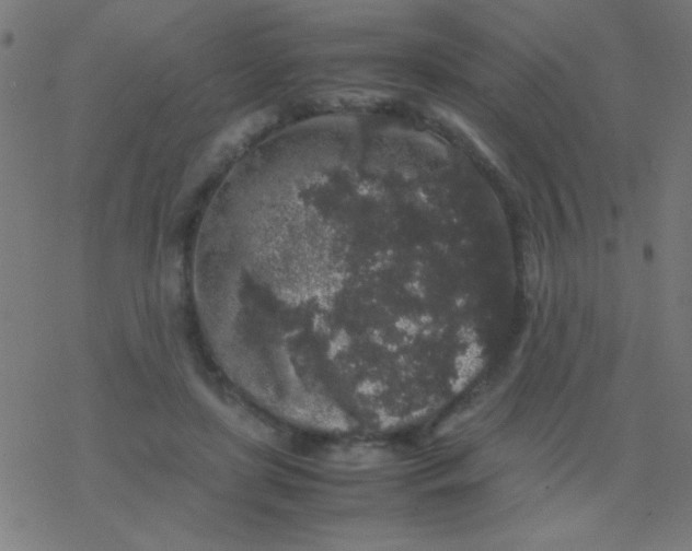 X0000077380451200611101733