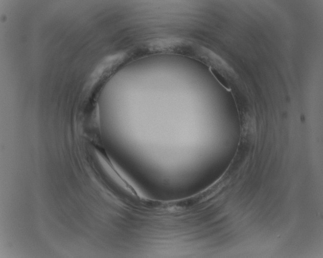 X0000077380452200611101733