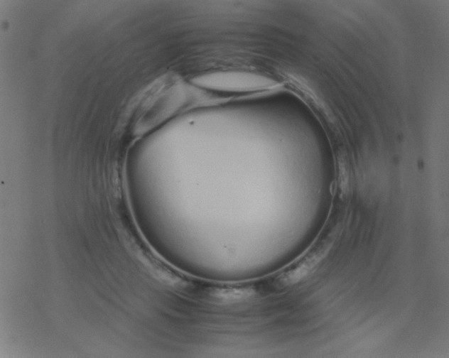 X0000077380453200611101733