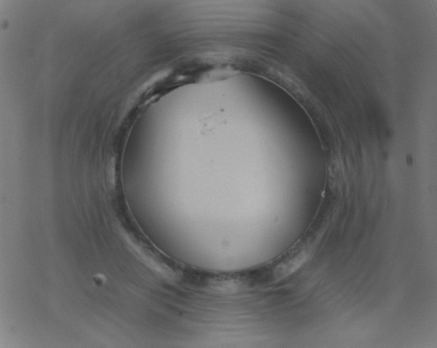 X0000077380454200611101733