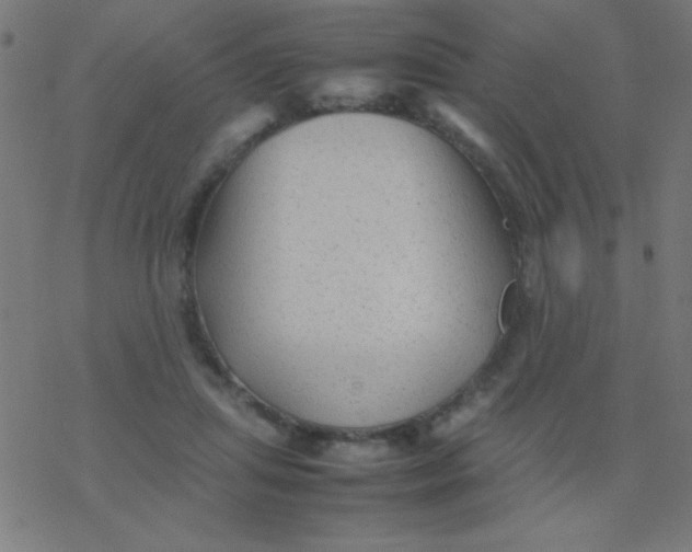 X0000077380455200611101733