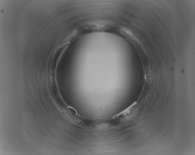 X0000077380456200611101733