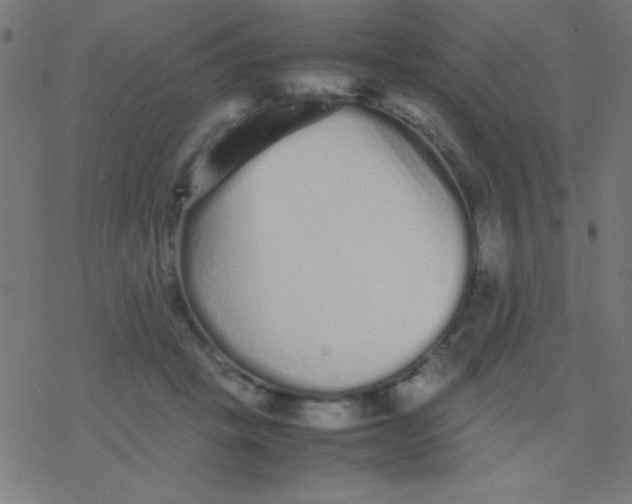 X0000077380457200611101734