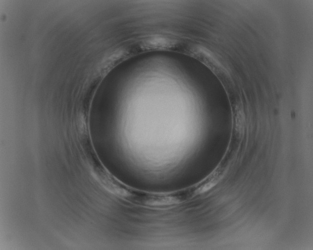 X0000077380459200611101734