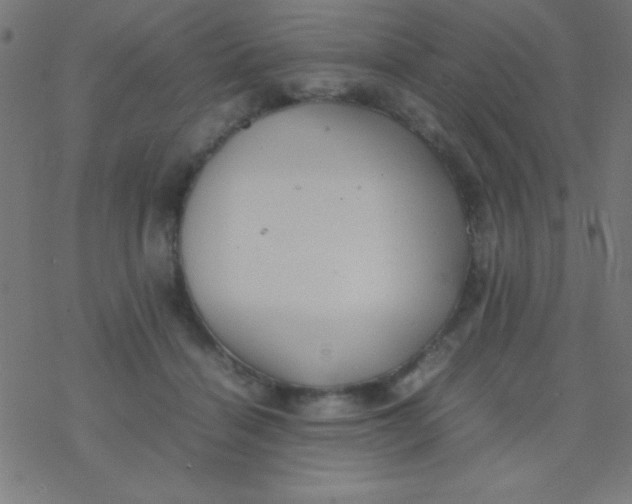 X0000077380460200611101734