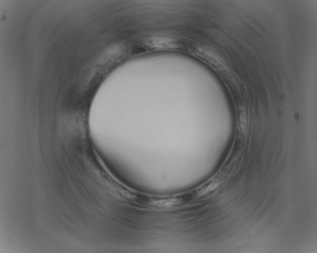 X0000077380461200611101734