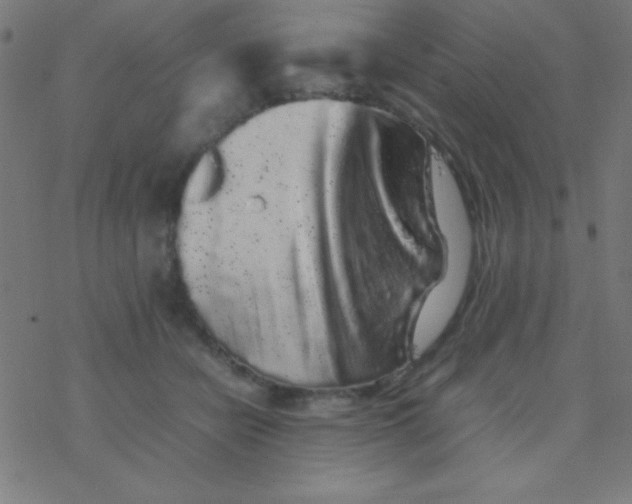 X0000077380462200611101734