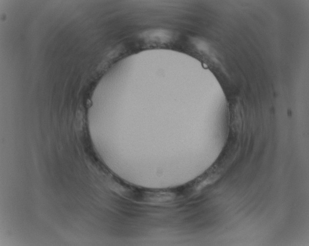 X0000077380463200611101734