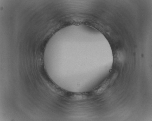 X0000077380464200611101734