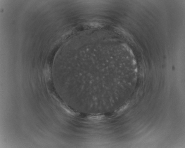 X0000077380465200611101734