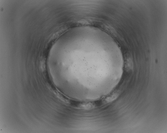 X0000077380466200611101734