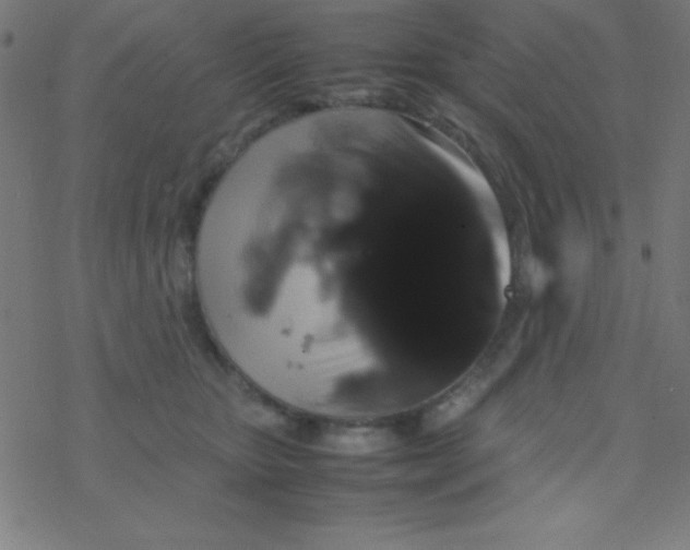 X0000077380467200611101734