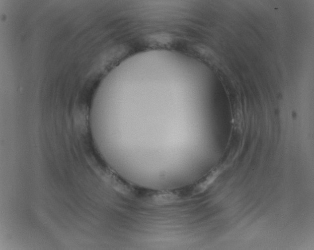 X0000077380468200611101734