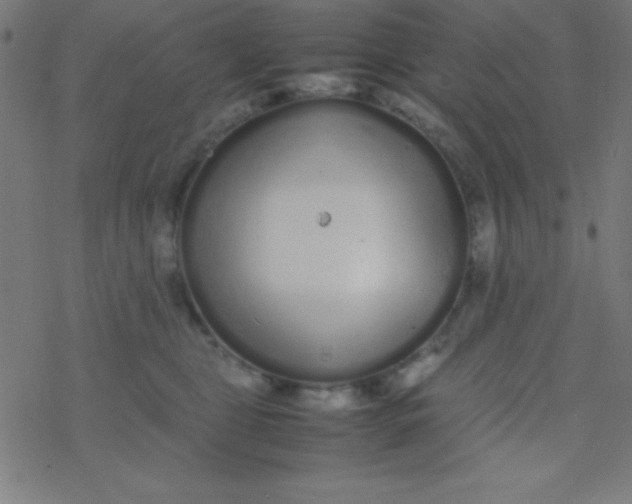 X0000077380469200611101734