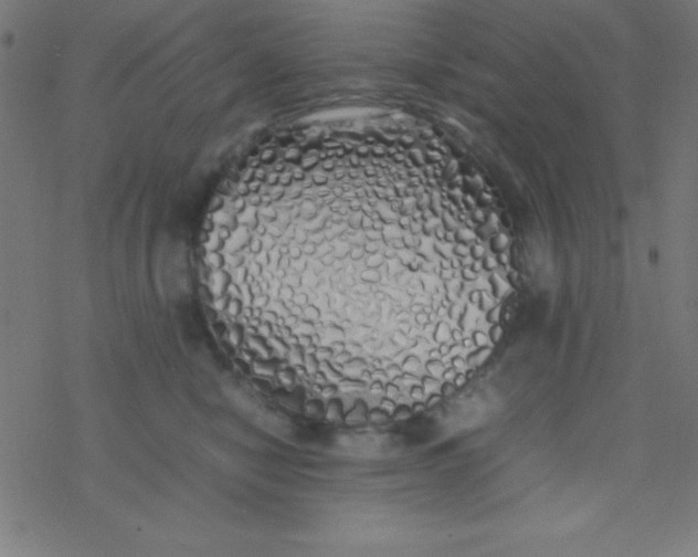 X0000077380470200611101734