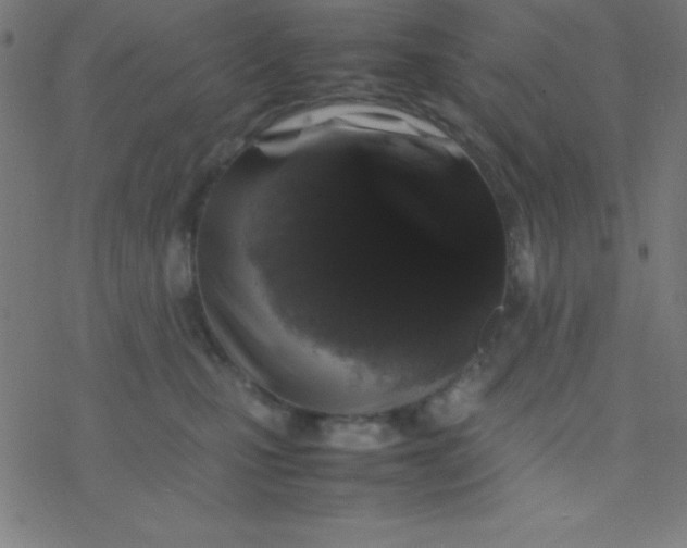 X0000077380471200611101734