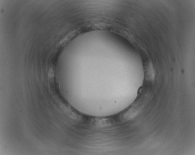 X0000077380472200611101734