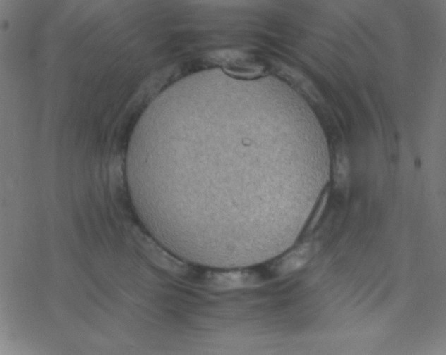 X0000077380473200611101734