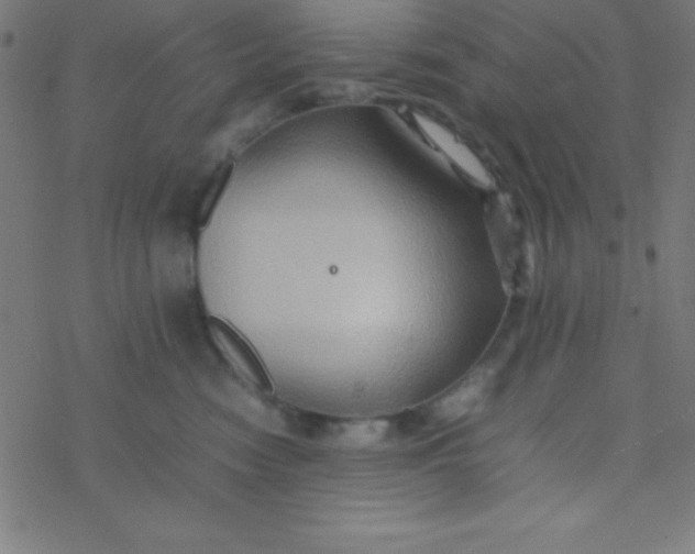 X0000077380474200611101734