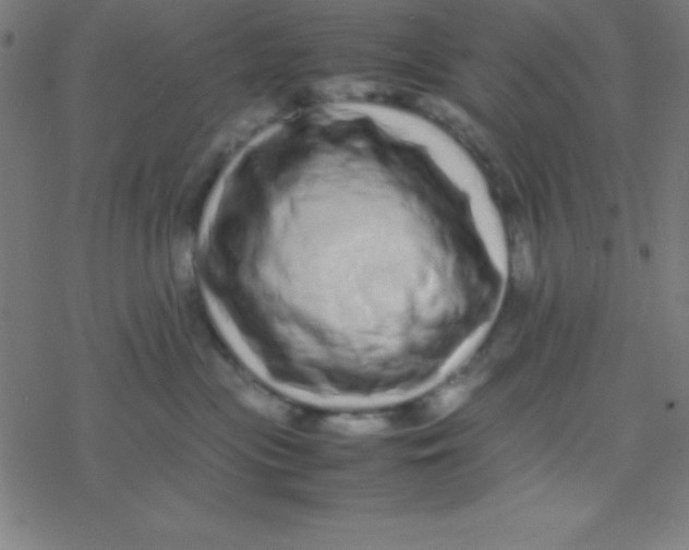 X0000077380477200611101734