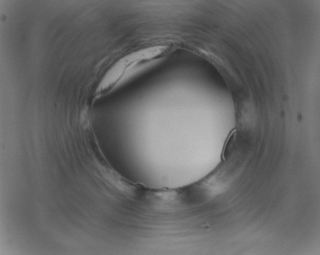 X0000077380478200611101734