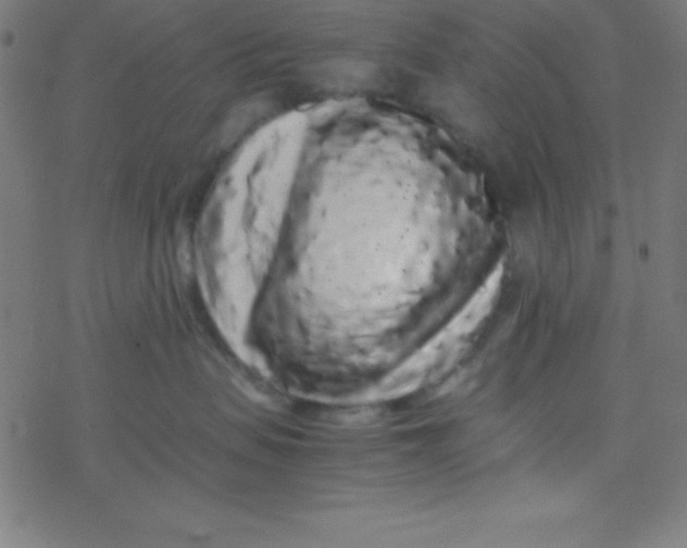 X0000077380479200611101734